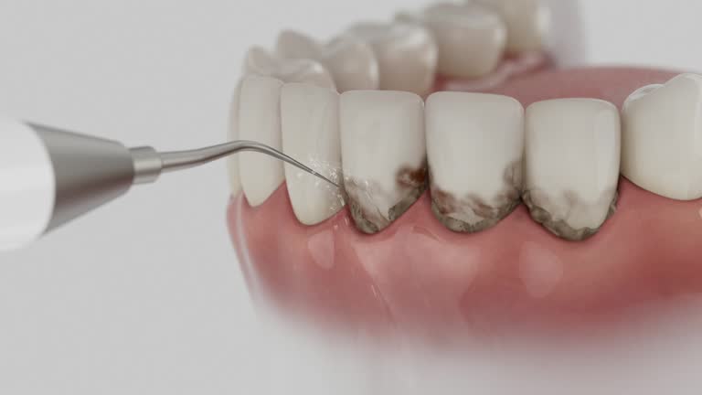 Reliable Dental contractor in Woodlawn Beach, FL by Dentist Open Now
